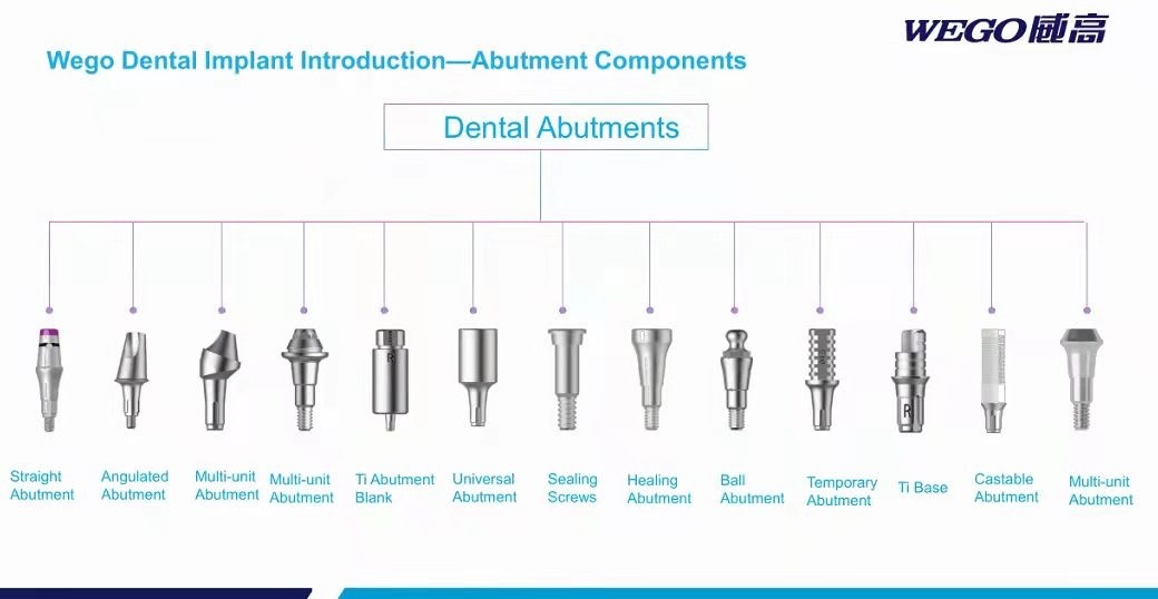 Implant Abutment