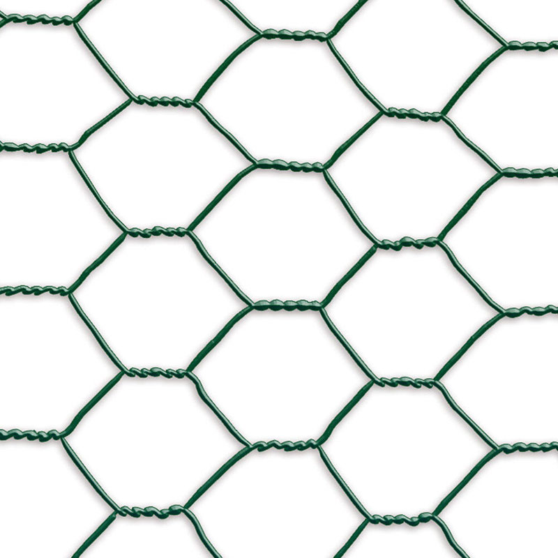  Hexagonal wire mesh