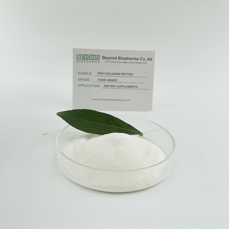  Hydrolyzed Fish Collagen Powder with Good Solubility