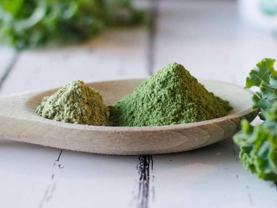 Bulk Natural Organic Kale Powder