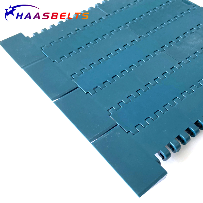 HAASBELTS Plastic Conveyor Freeflow Transfers Flat Top 1000 modular belt