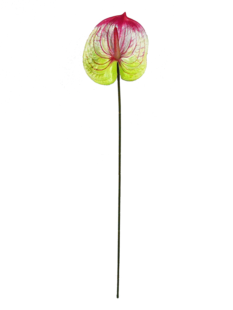 Artificial Anthurium for Wedding and Events Decoration Faux Anthurium-BDD3017004