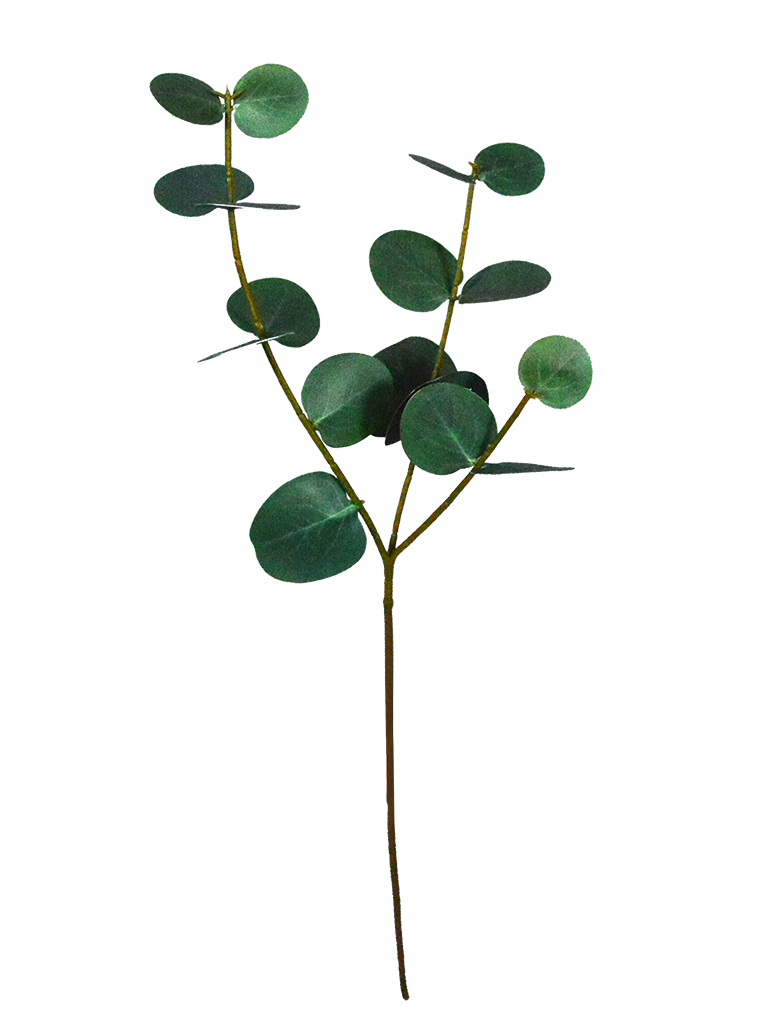  Wholesale China High Simulation Eucalyptus Branch Floral Arrangements Artificial Eucalyptus Stems-BDD3017003