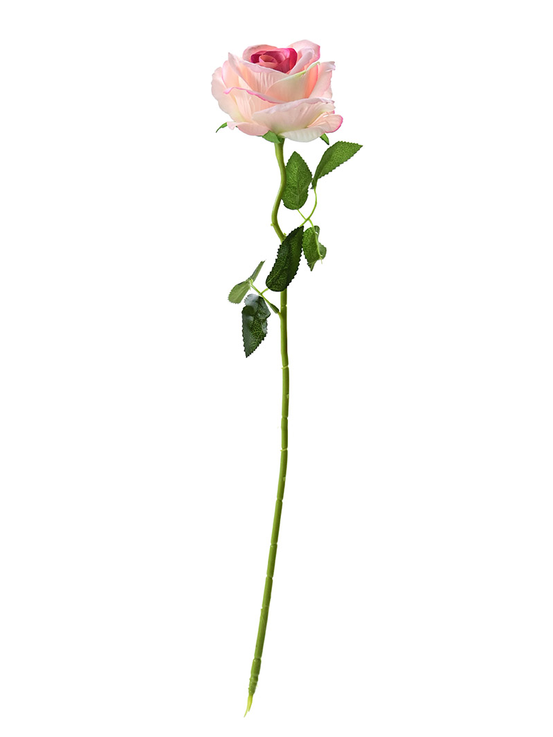 Tianjin Factory Wholesale Single Velvet Rose Flowers Cheap Price-rose stem ZA3017003