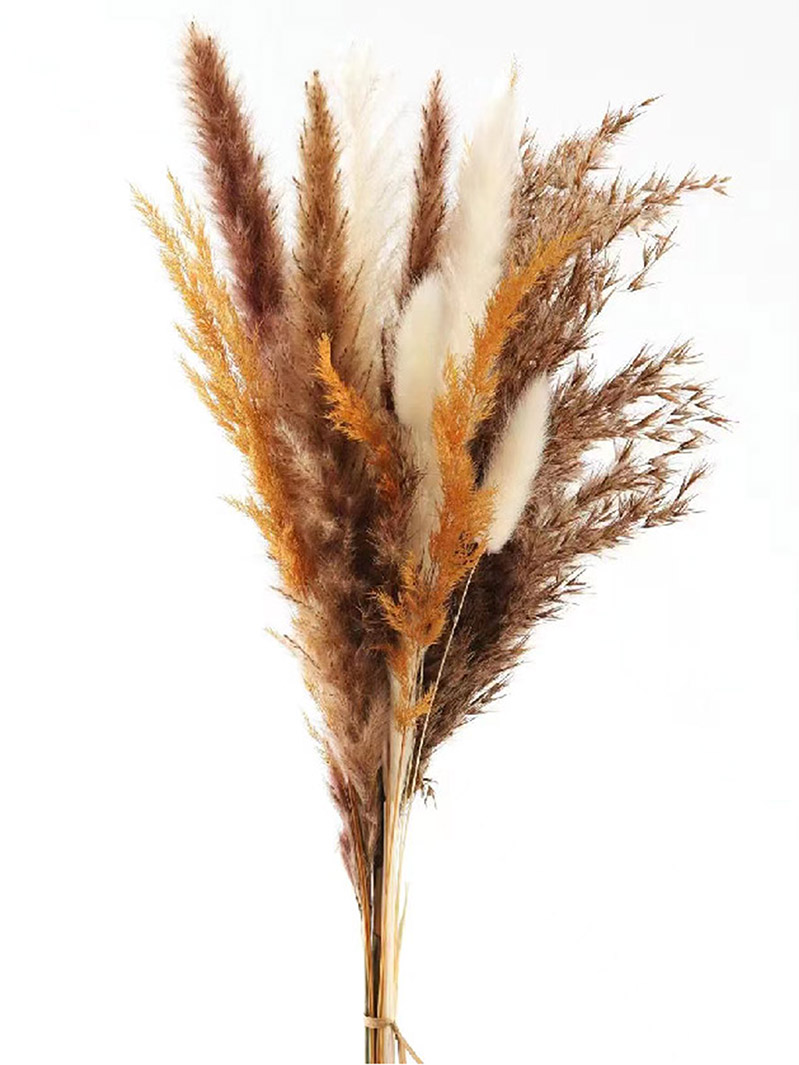  Natural Pampas Grass Bouquet Decor | Long-Lasting Dried Flowers Bouquet for Boho Home Decor and Boho Wedding Decor-SH6770002