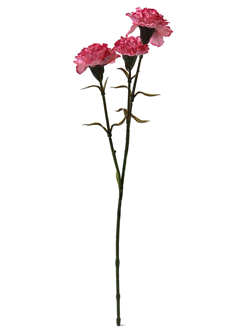 Artificial long stem carnations flowers spray for Mother's Day Decoration-Carnation stem-BA3017007