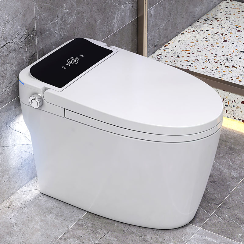Ceramic Sanitary Ware Bathroom Floor Mounted Smart Toilet