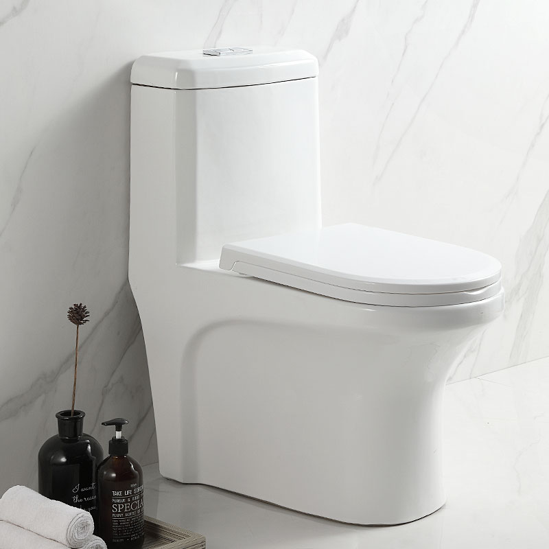 Washdown WC ceramic white one piece toilet flush kleine toilette sanitary wares bathroom toilet