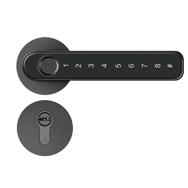 Biometric Password Code Door Lock Smart Lock Keyless Handle Fingerprint Lock