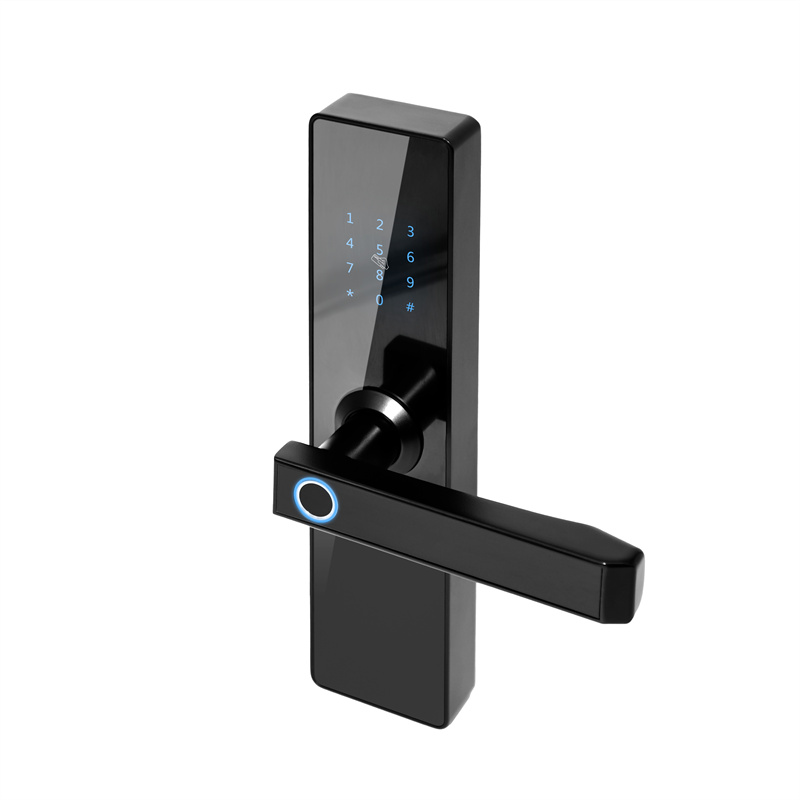 Unlock the Convenience and Security with a Keyless Door Lock System