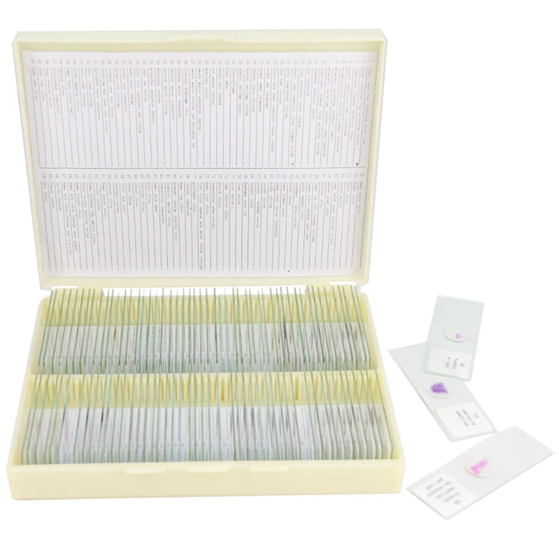 Medical science human pathology microscope prepared slides for teaching and learning