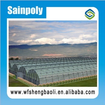 6mm poly sheeting - Wholesale Greenhouse Film,Mulch Film,Greenhouse Plastic,Shrink Film for Sale