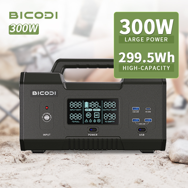 Pro 300Wh 220V Outdoor Camping Portable Power Station