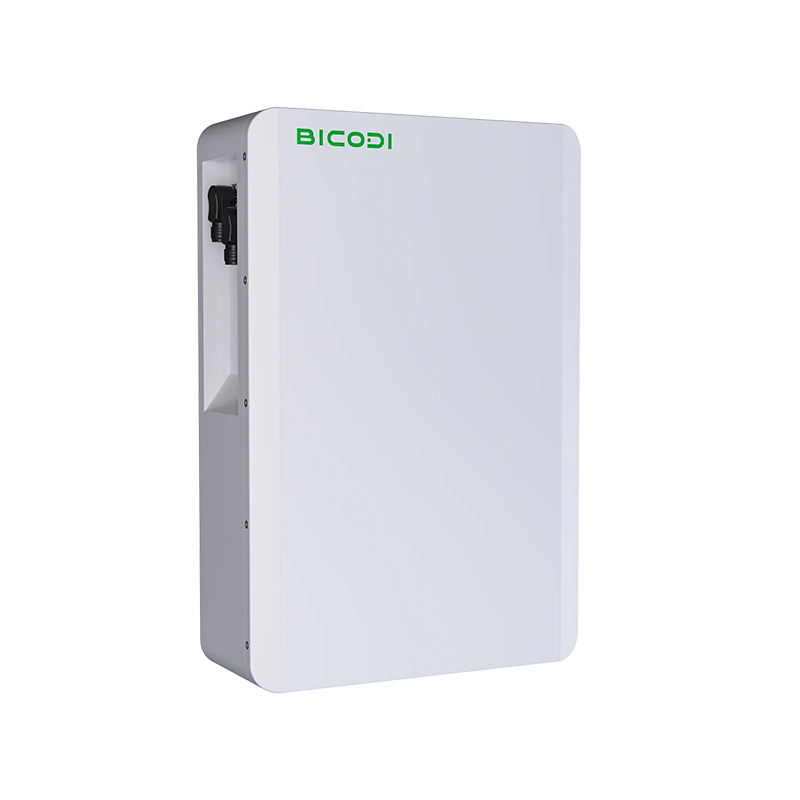 BICODI BD048100P05 Solar Energy Storage Battery