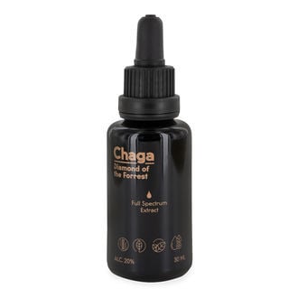 Discover the Benefits of Chaga Mushroom Tincture: 100% Organic and Packed with Antioxidants
