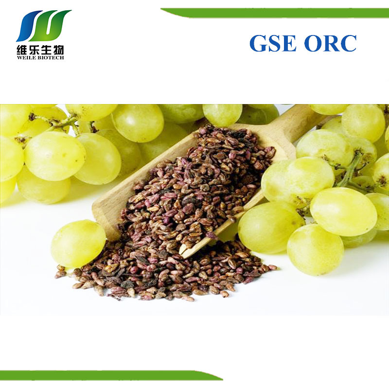Grape seed Extract Suppliers and Manufacturers in China - Fooding