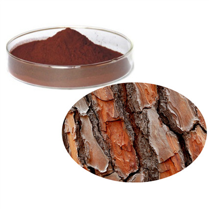Powerful Turkey Tail Extract: A Promising Natural Health Solution