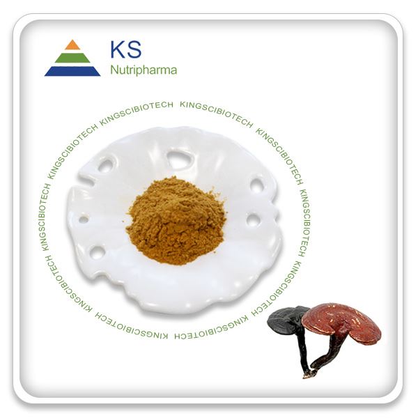 Reishi Mushroom Extract: A Review of the 