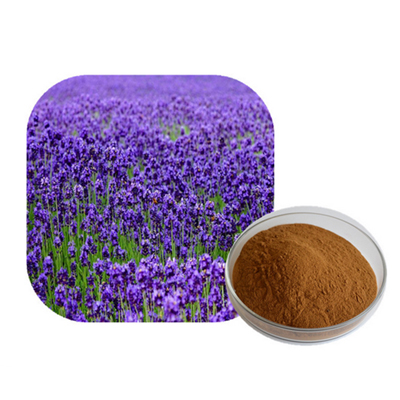 Lavender Extract    Relieve nerve, builds character, with the promotion of sleep magic.