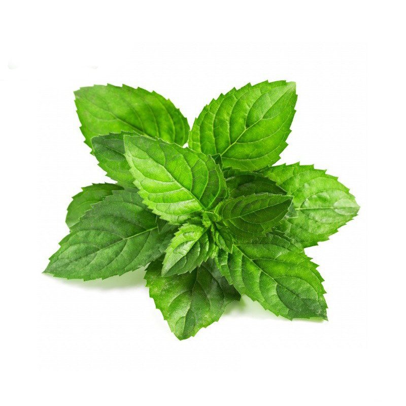 Peppermint Extract , used for Natural Supplement.Bulk inventory sales