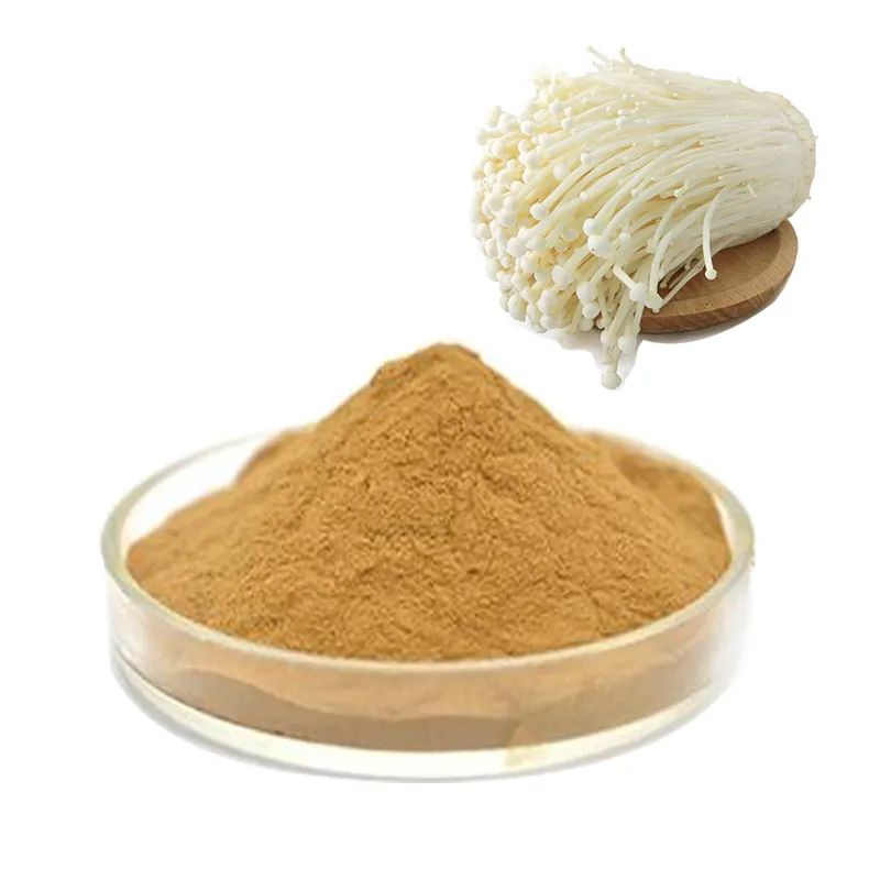 Needle mushroom Extract  100% pure natural Extract Powder 
