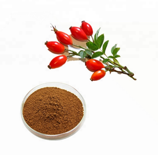 Rose Hips Extract   Rose hip Extract is antiseptic, anti inflammatory
