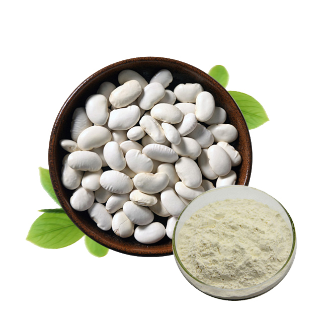  White Kidney Bean Extract  White Kidney Bean Extract contain protein is a natural amylase inhibitor, which is better than wheat and other crops extracted.