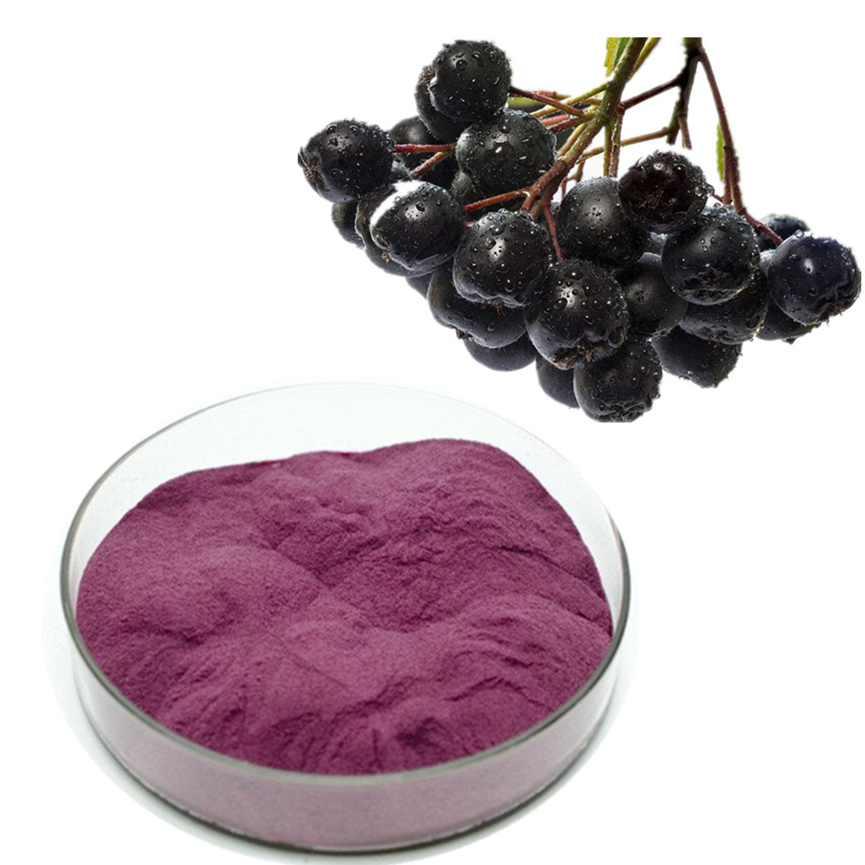 Chokeberry Extract   Natural anthocyanin and pigment