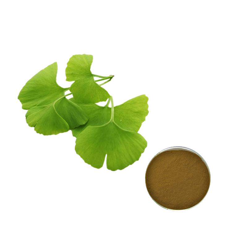 Ginkgo Biloba Extract  Ginkgo Biloba Extract  Dilating blood vessels,vascular endothelial protection organizations;