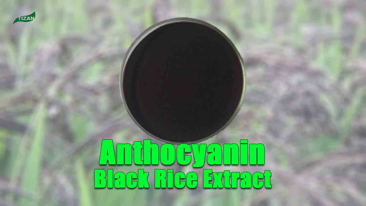 80 Mesh Organic Black Rice Extract Anthocyanidins Powder 25% Pigment C3G