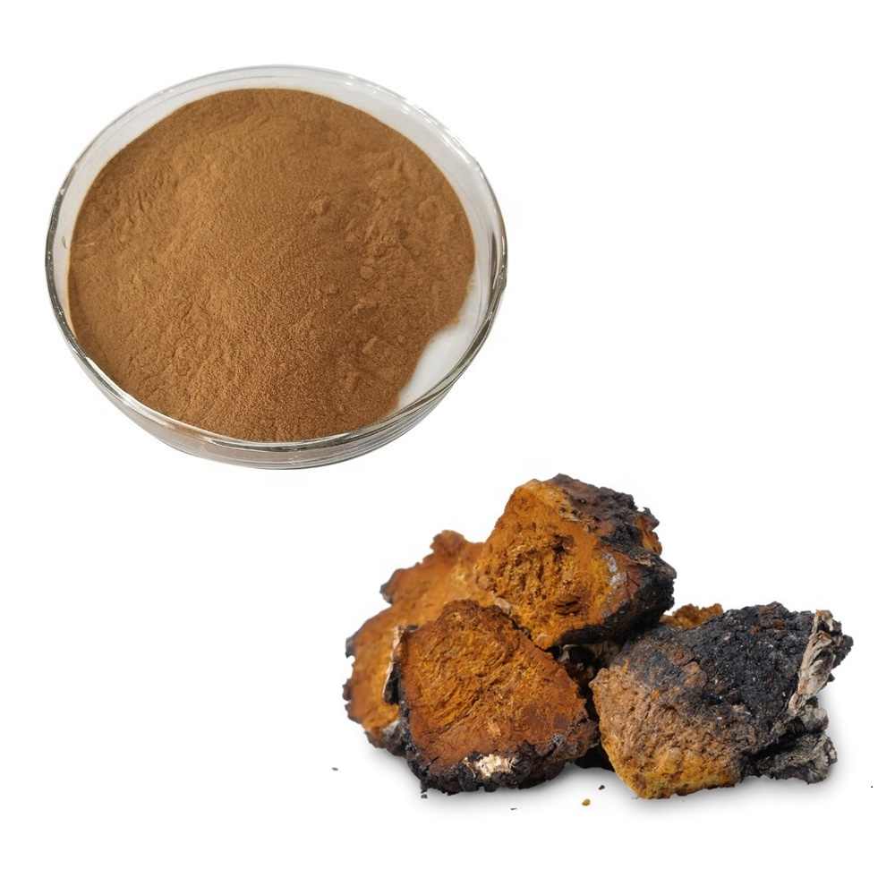  Chaga Extract  Chaga Extract is a powerful anti-oxidant and useful in fighting tumors.