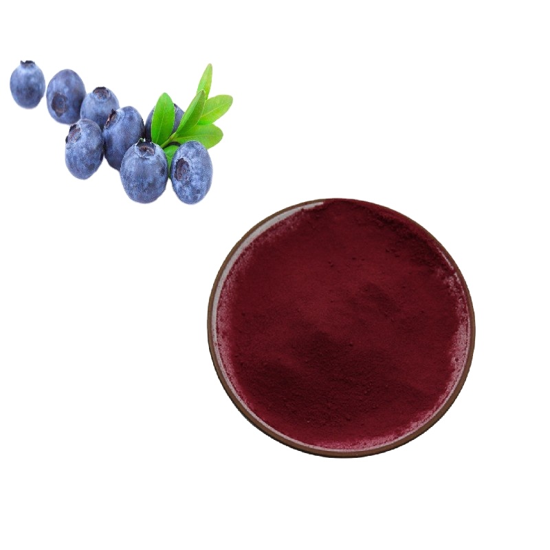 Bilberry Extract   Dark-violet fine powder, Strong antioxidant activity