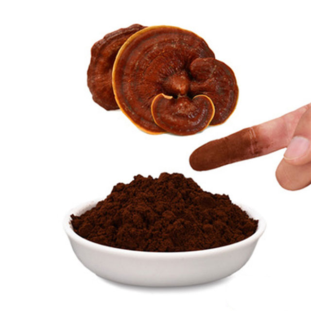 Benefits of Organic Chaga Extract: A Natural Health Supplement