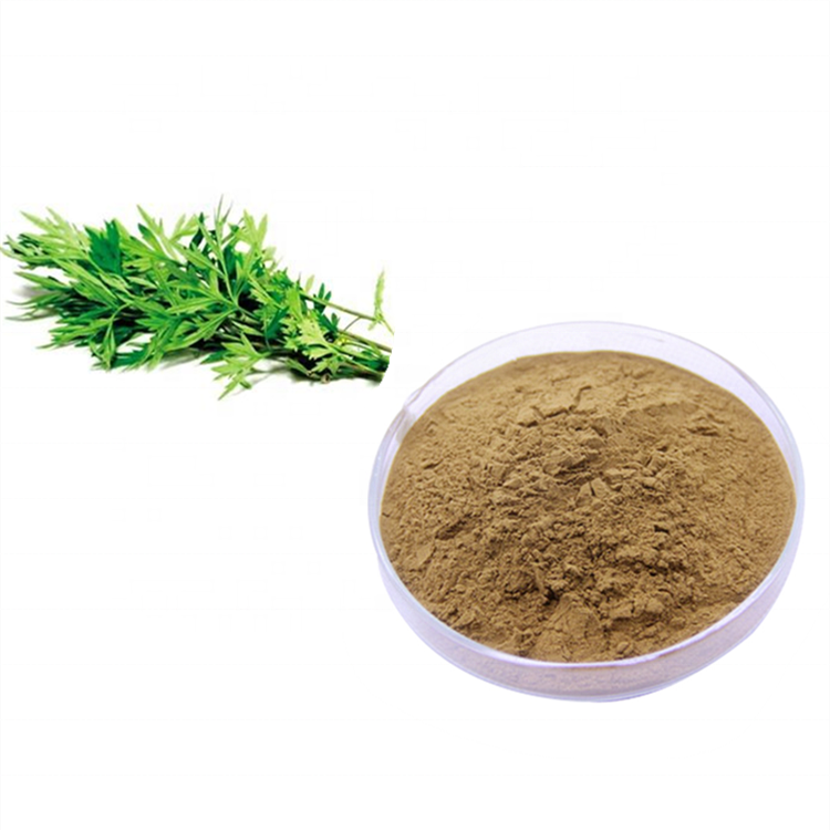 Wormwood  Extract   Wormwood Extract 10:1 Test by TLC