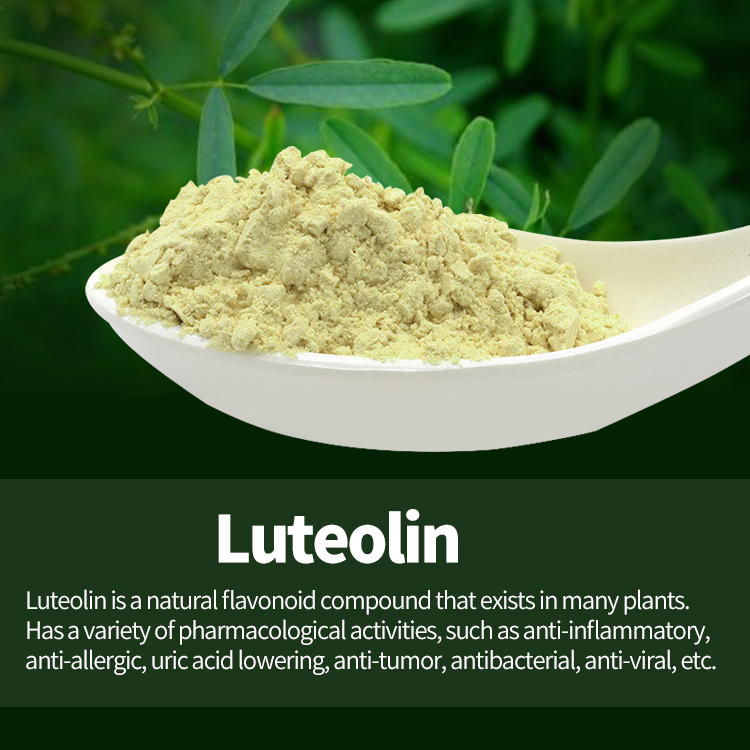 Luteolin   Luteolin 98% Test by HPLC
