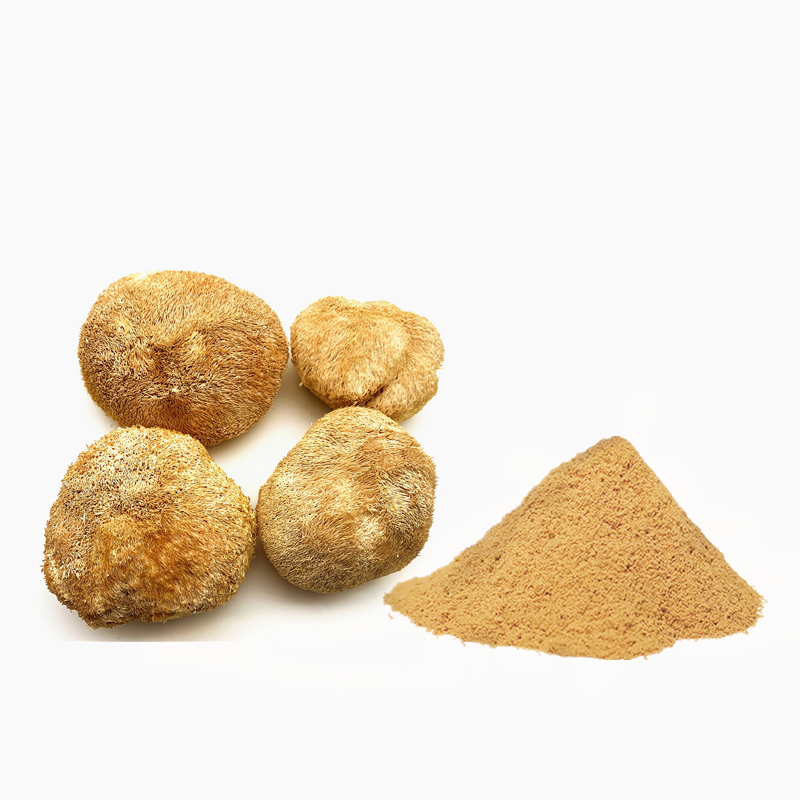 Lion's Mane Mushroom Extract  Lion's Mane Mushroom Extract can cure chronic gastricism, duodenum ulcer and other enteron diseases.