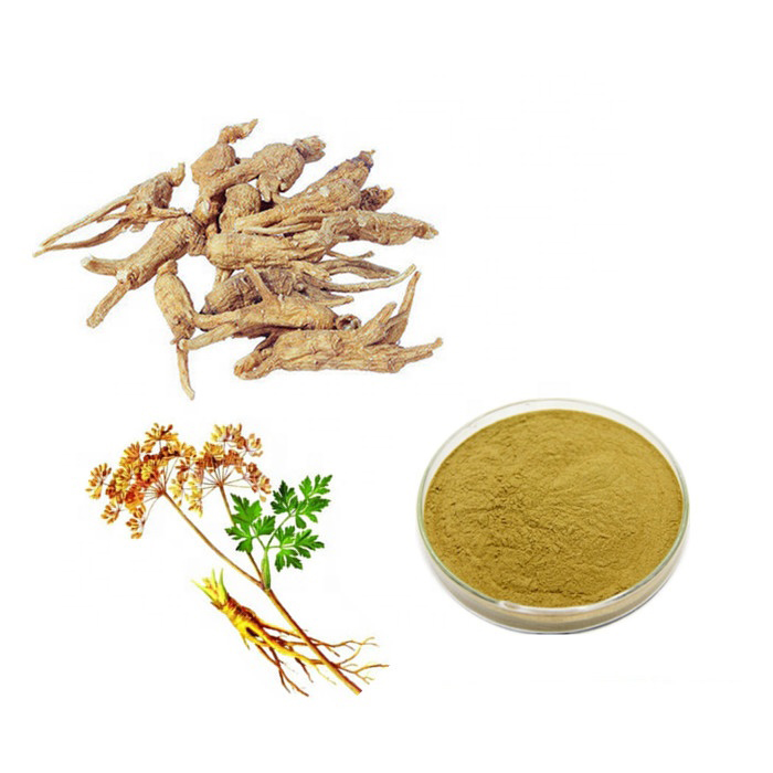 Dong Quai Extract  Ligustilide 1%  Test by HPLC