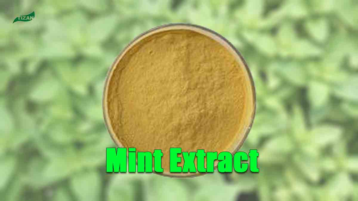 BEANILLA PEPPERMINT EXTRACT PURE - 2OZS - Brydens Antigua