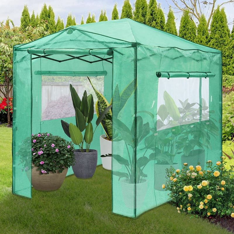 8' x 6' Portable Walk-in Pop Up Greenhouse, with 2 Windows, Roll Up Door and Instant Set Up Frame
