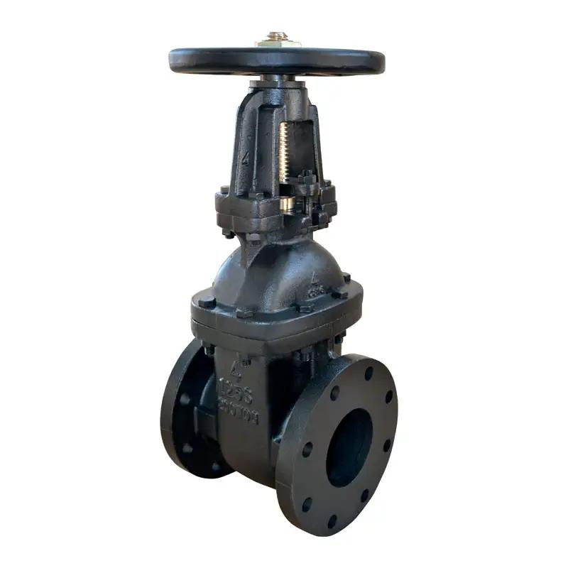 GAV-2101 OS&Y 125LB A126 GATE VALVE WITH BRONZE SEAT RING 