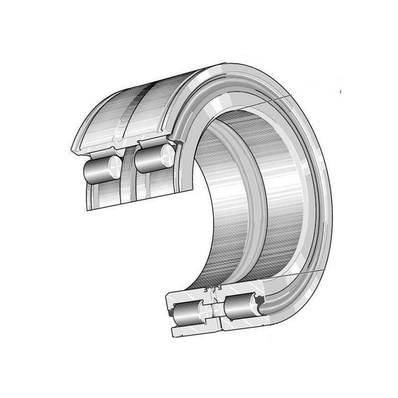 SL045010-PP Double row full complement cylindrical roller bearings