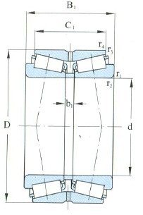 Double Row Tapered Roller Bearing D 25-120mm