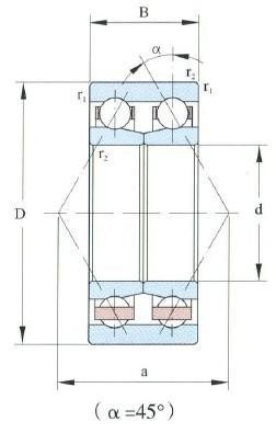 Double Row Angular Contact Ball Bearing Others 45-300mm