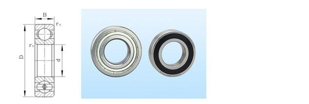 High-Precision High-Speed High Temperature With Radial Ball Bearings (Chemical Equipment)