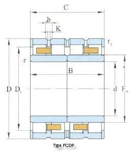 Fouble Row Cylindrical Roller Bearing Type