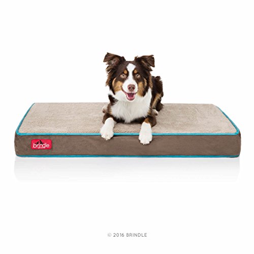 memory foam dog bed with sides