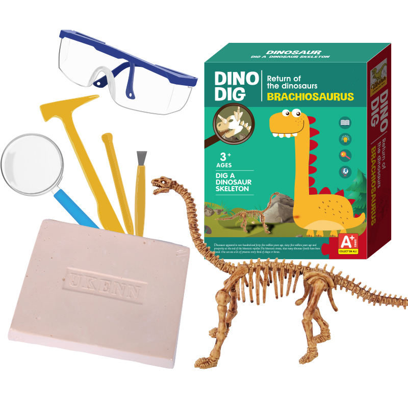 14 Years Experiences of Customized Dinosaur Skeleton Dig kit 