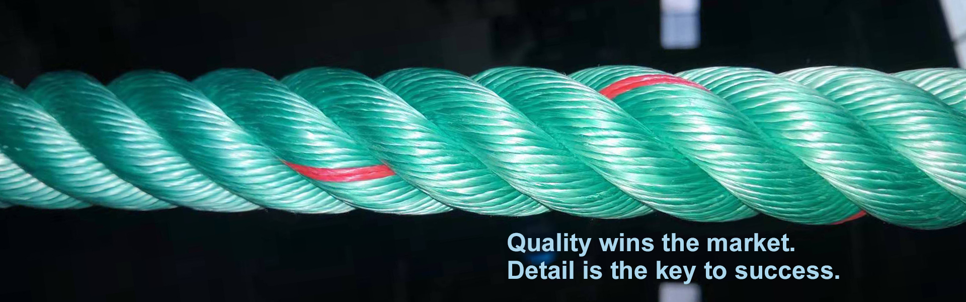 Pp Rope, Plastic Rope, Packaging Rope - Dongtalent