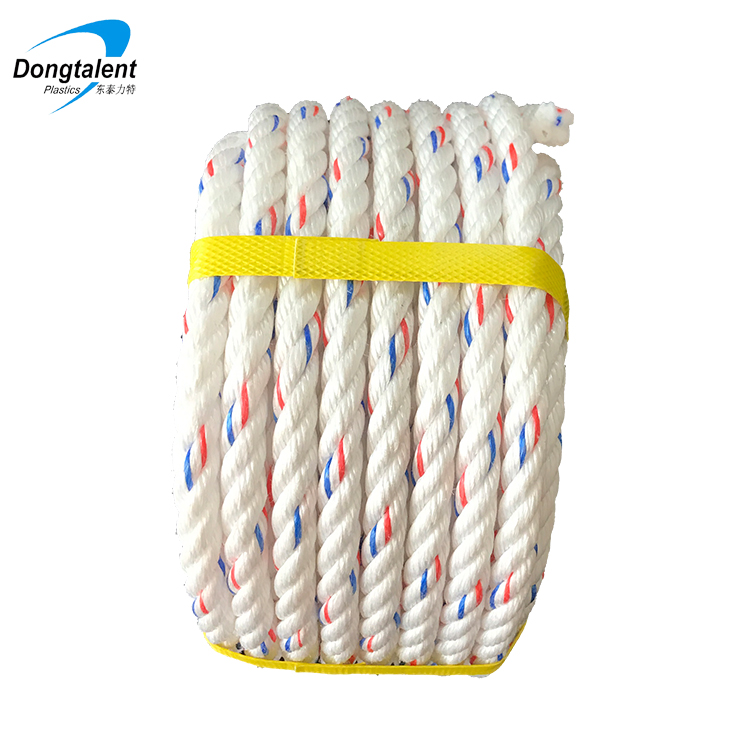 Polypropylene Danline Rope Manufacturer & Supplier