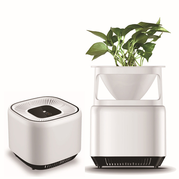 Household micro-ecological Air Purifier For Dust